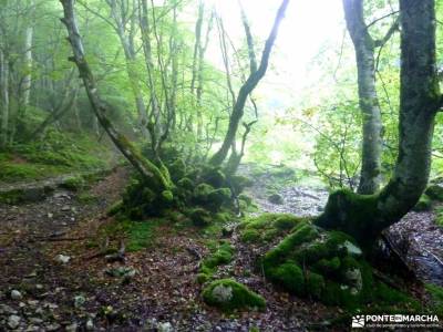 Urbasa-Andía;Aizkorri-Aratz;Aralar; senderismo monachil rio cazorla actividades para jovenes en mad